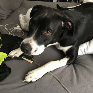 Meet your Posher, Kennedy